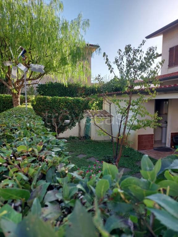 casa indipendente in affitto a Camaiore
