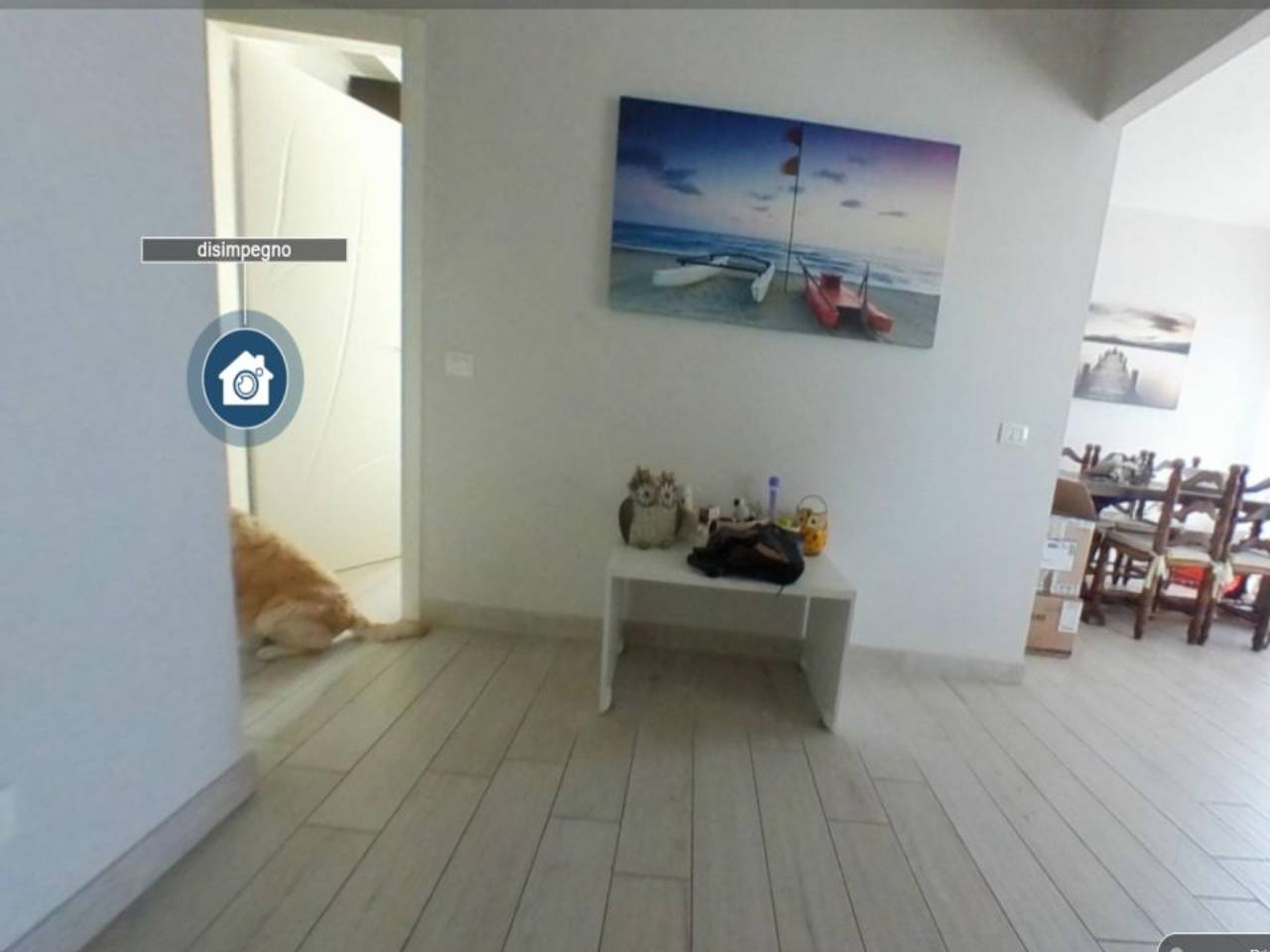 appartamento in affitto a Camaiore