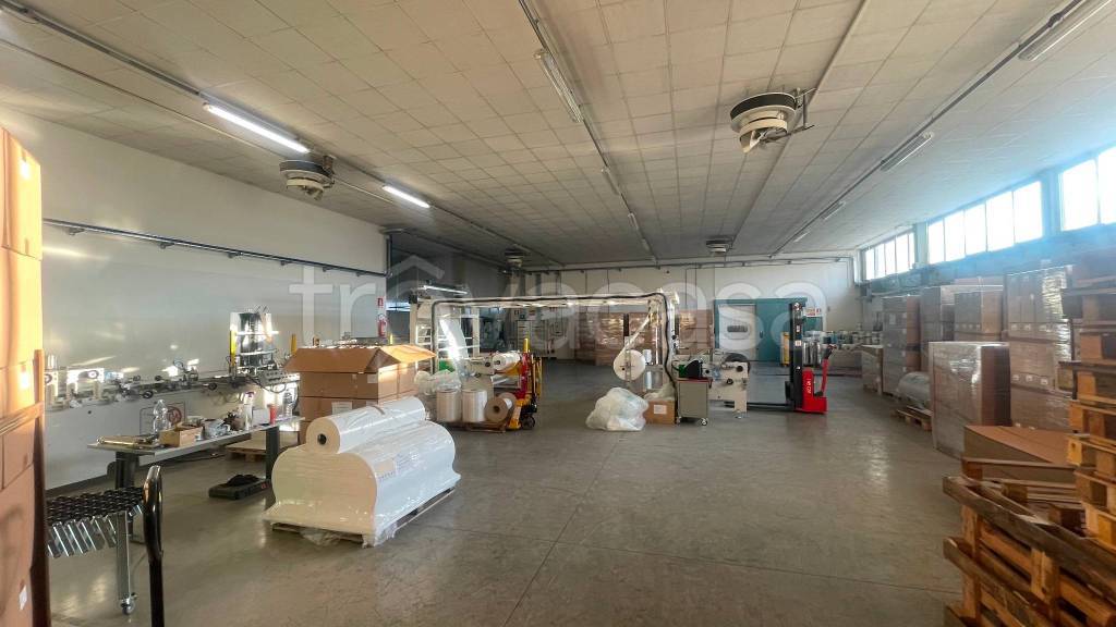 locale commerciale in affitto a Capannori in zona Lunata
