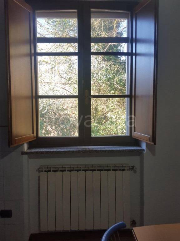 appartamento in affitto a Capannori