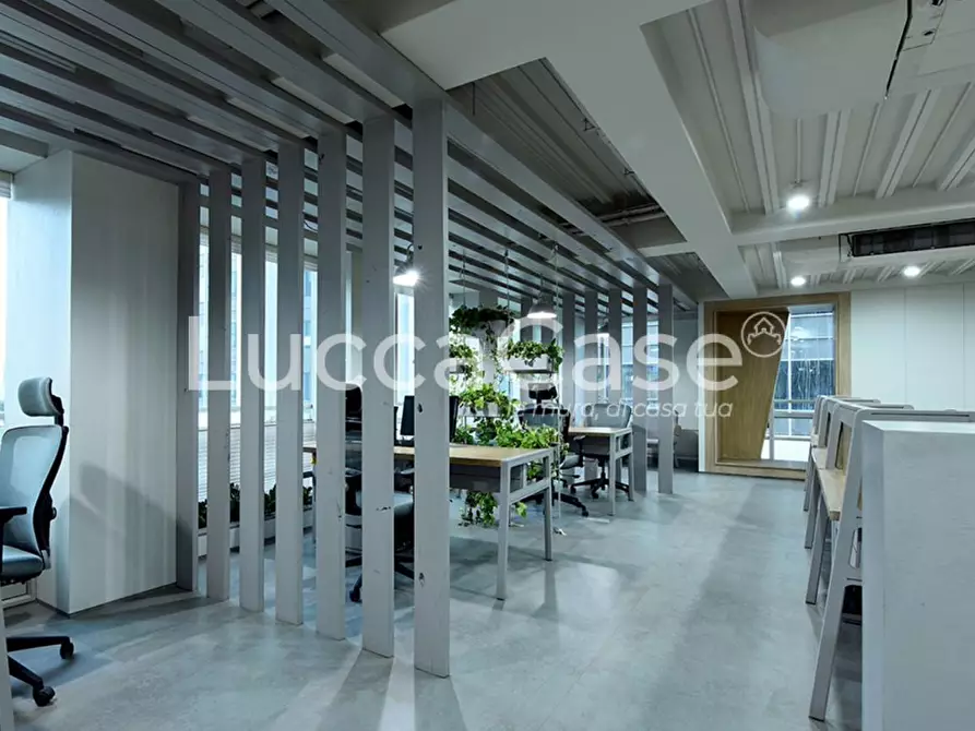 negozio in affitto a Capannori in zona Guamo