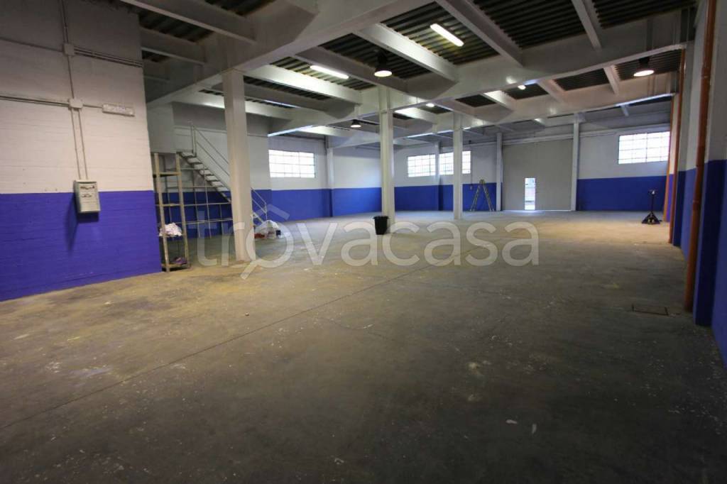 locale commerciale in affitto a Capannori in zona Lunata