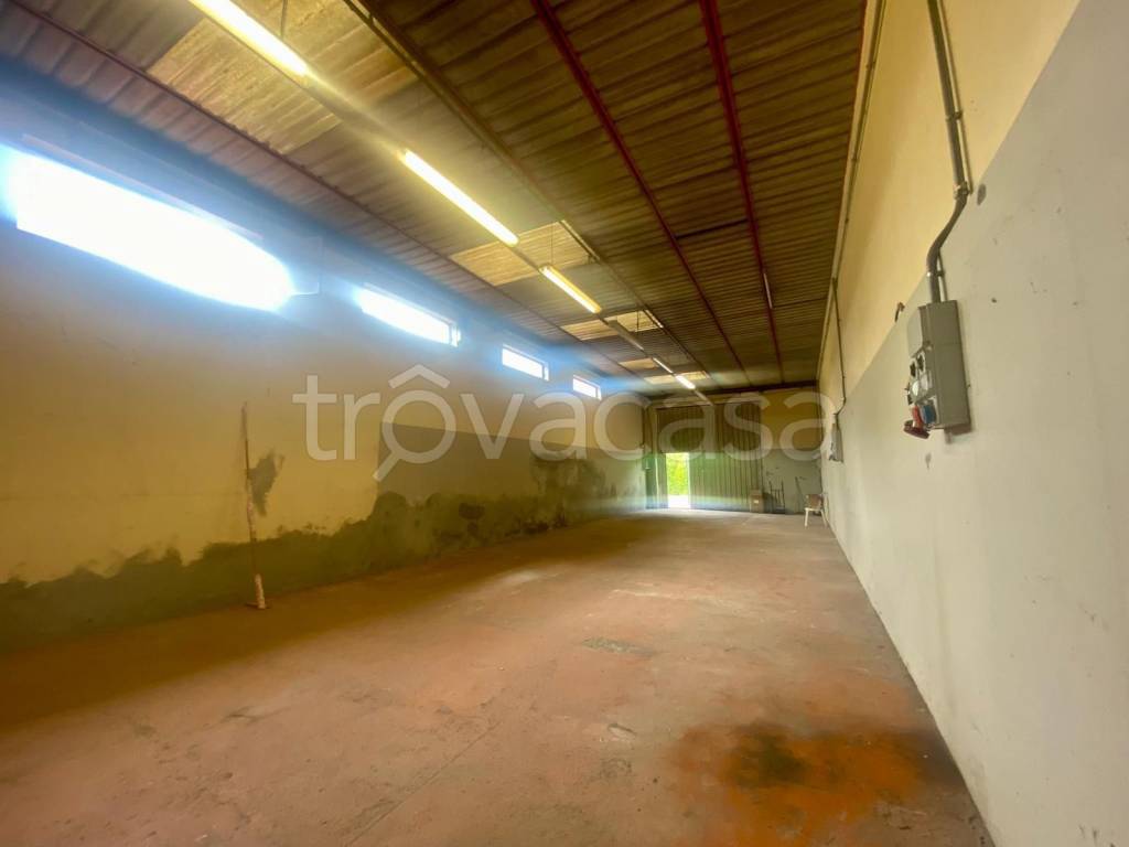 locale commerciale in affitto a Capannori in zona Lunata