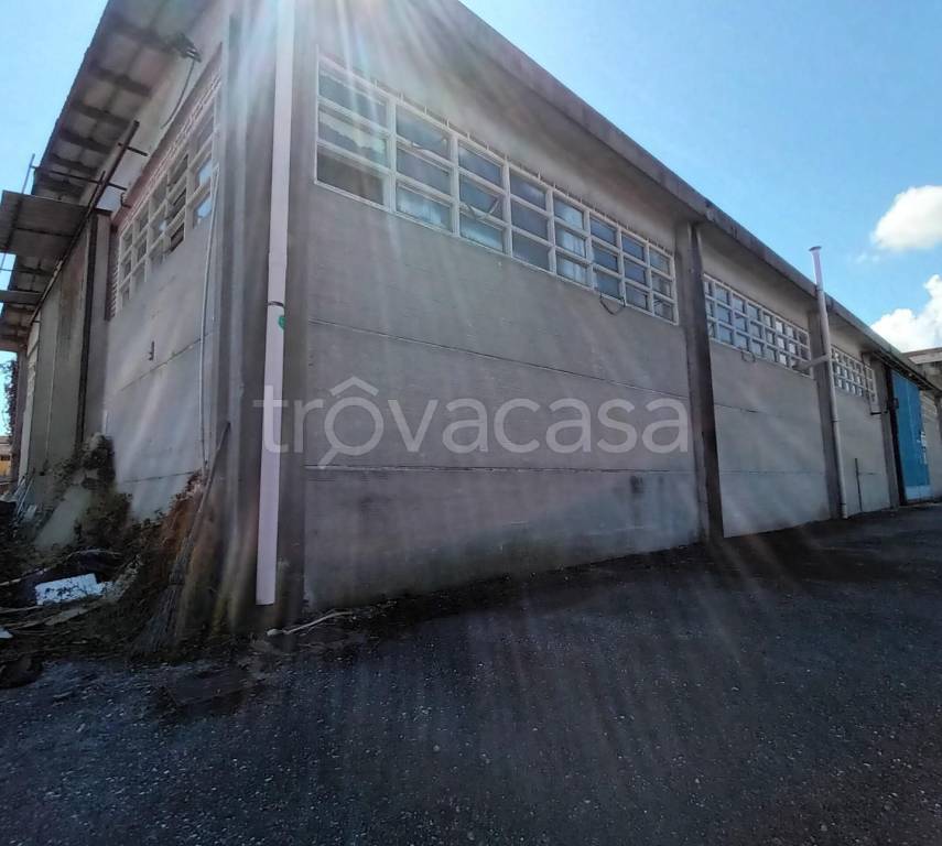 appartamento in affitto a Capannori in zona Guamo
