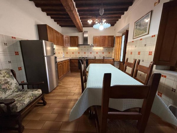 casa indipendente in affitto a Capannori