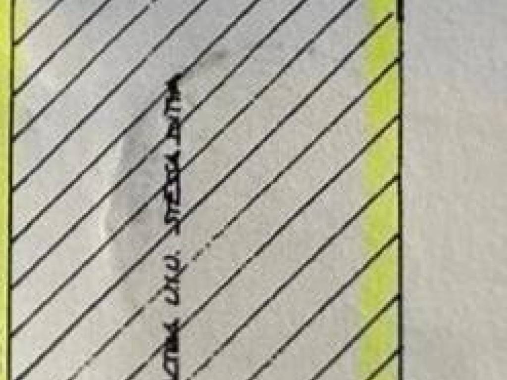 capannone in affitto a Capannori in zona Lunata