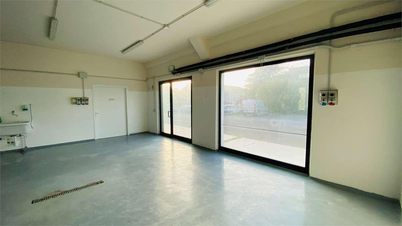 casa indipendente in affitto a Capannori