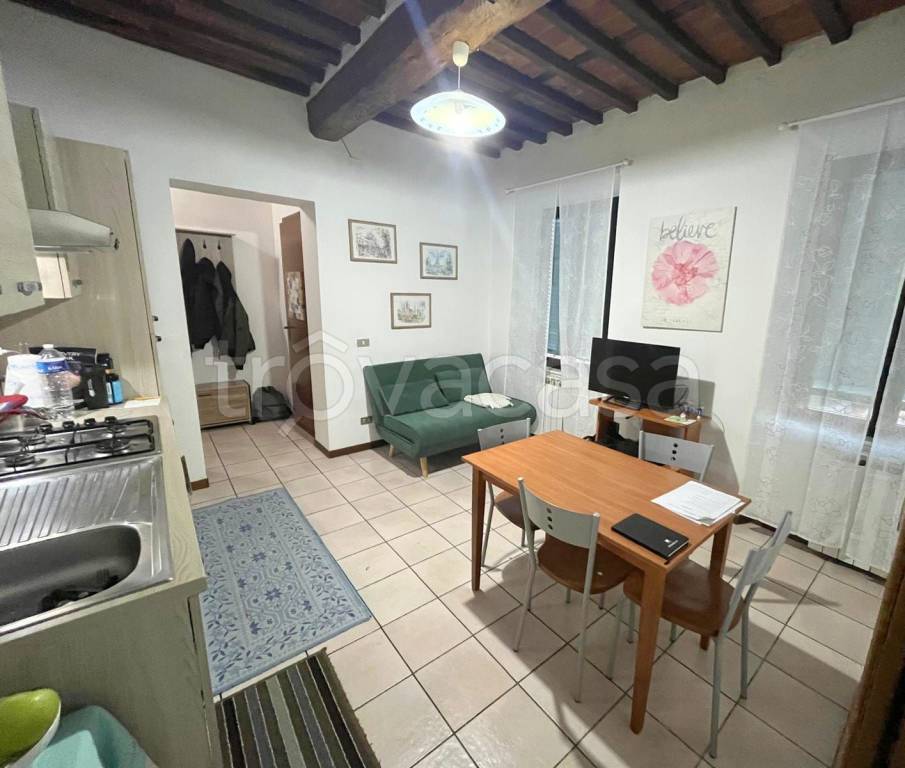 appartamento in affitto a Capannori in zona Carraia