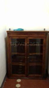 appartamento in affitto a Capannori