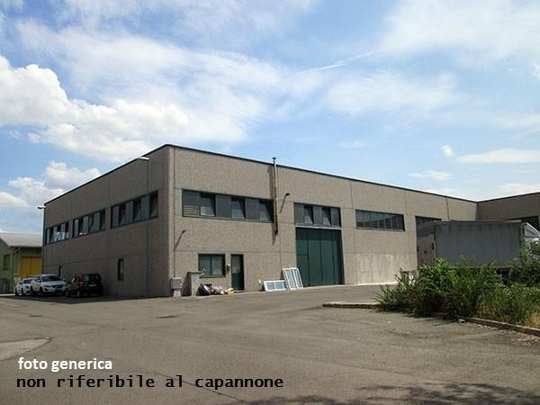 capannone in affitto a Capannori