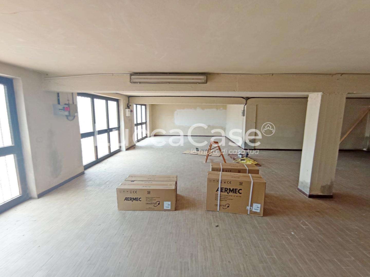 loft in affitto a Capannori in zona Lunata