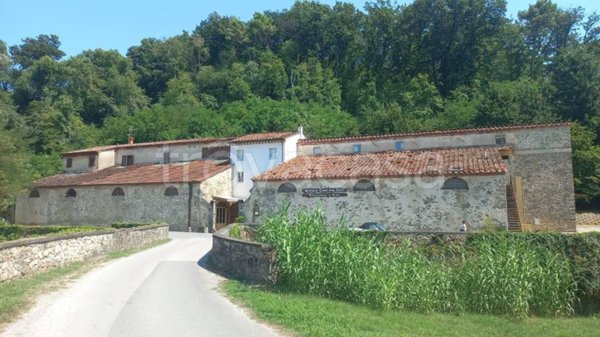 negozio in affitto a Capannori