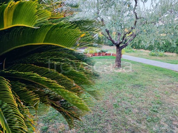 appartamento in affitto a Capannori in zona Lunata