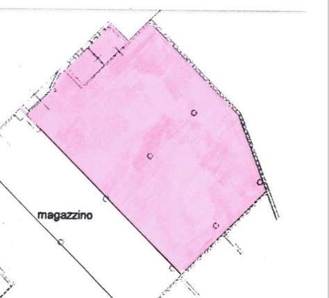 locale di sgombero in affitto a Capannori