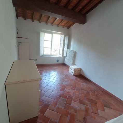 camera singola in affitto a Capannori