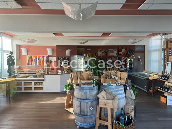 locale commerciale in affitto a Capannori in zona Guamo