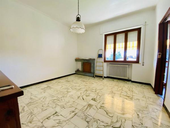 appartamento in affitto a Capannori