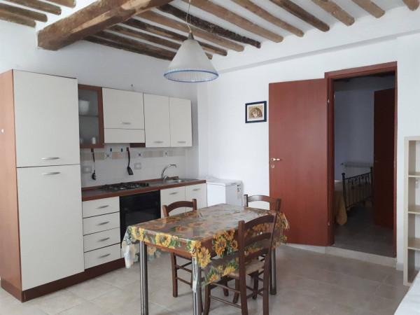 appartamento in affitto a Capannori