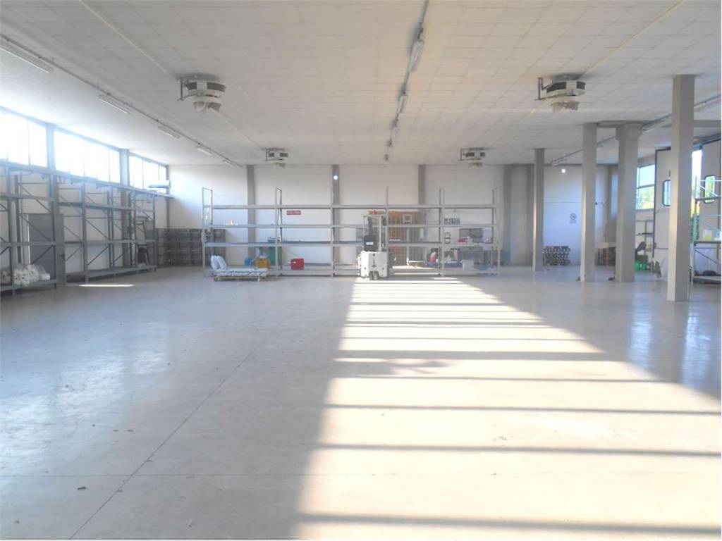 negozio in affitto a Capannori in zona Lunata