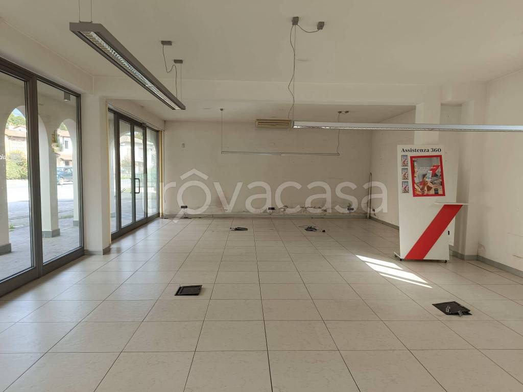 negozio in affitto a Capannori