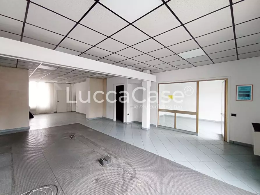 appartamento in affitto a Capannori