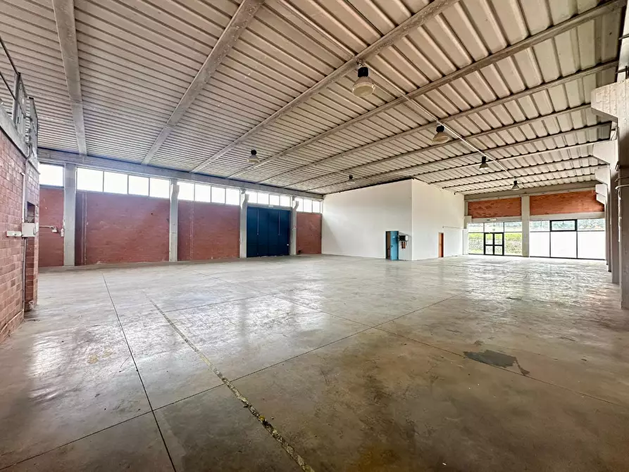 capannone in affitto a Capannori