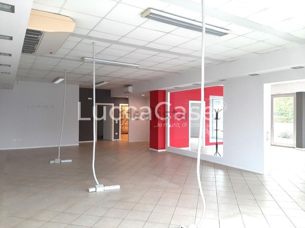 casa indipendente in affitto a Capannori in zona Guamo