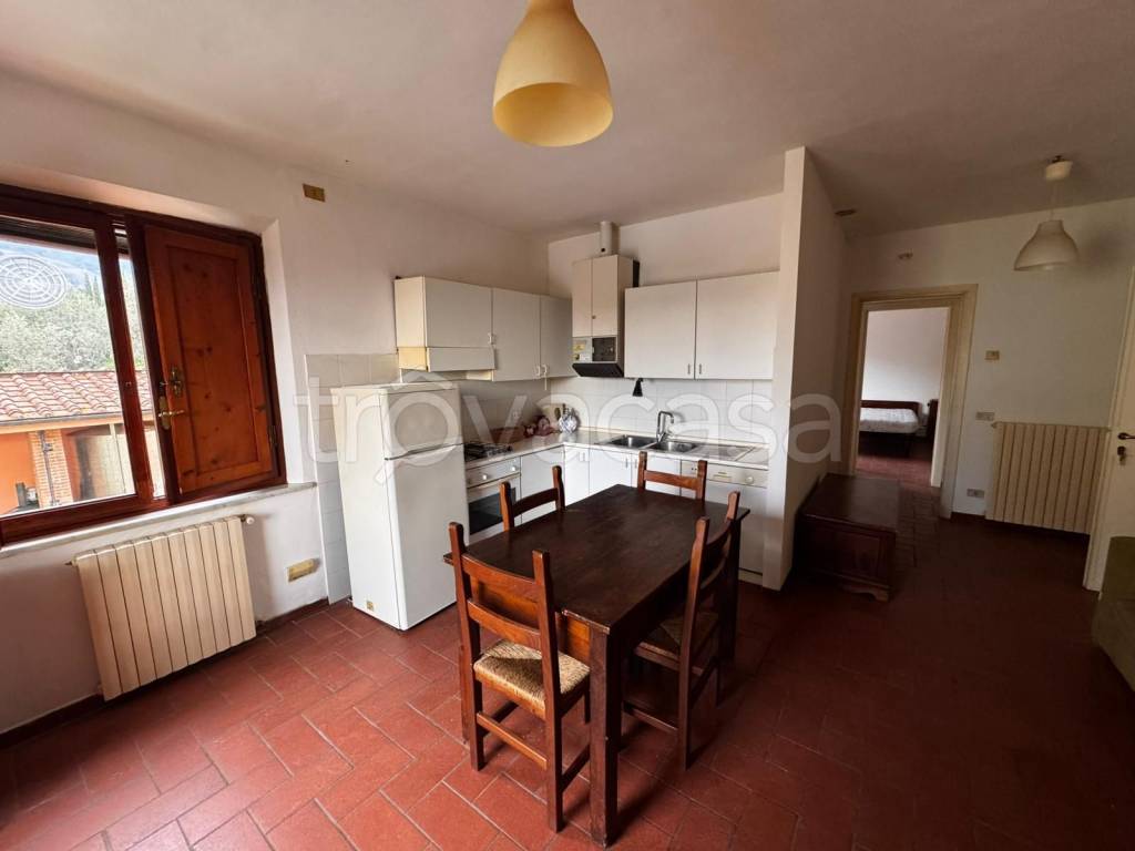 appartamento in affitto a Capannori