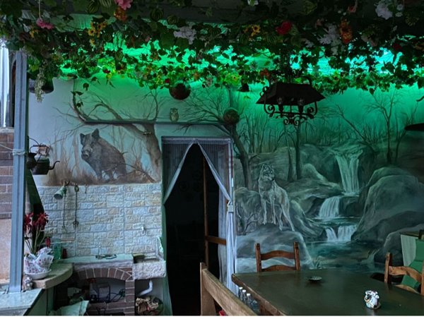 casa indipendente in affitto a Capannori