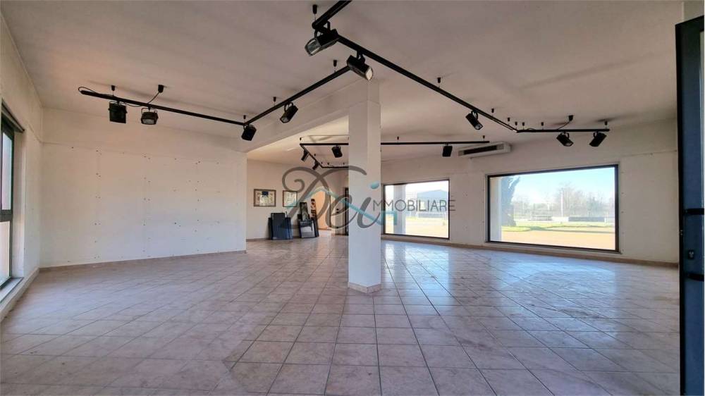 negozio in affitto a Capannori