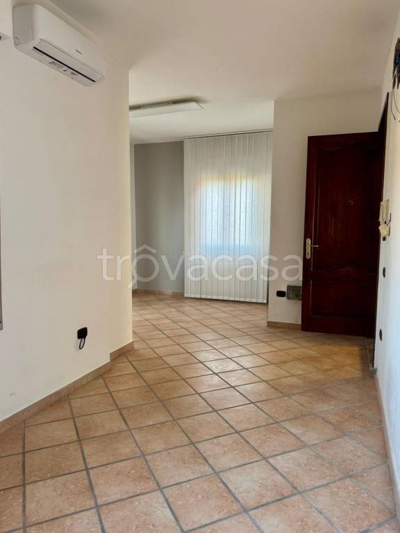 negozio in affitto a Capannori