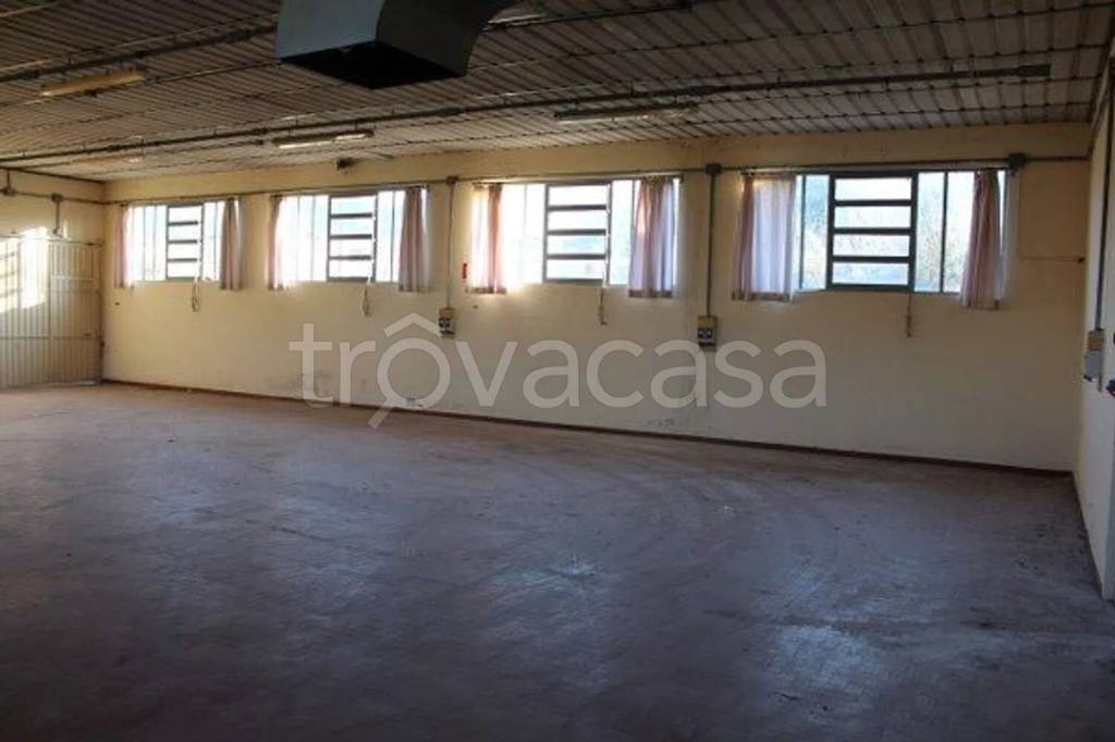 appartamento in affitto a Capannori