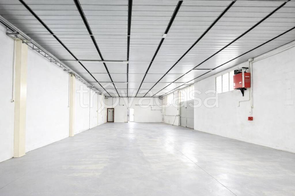 locale commerciale in affitto a Capannori