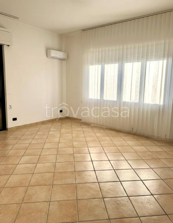 negozio in affitto a Capannori