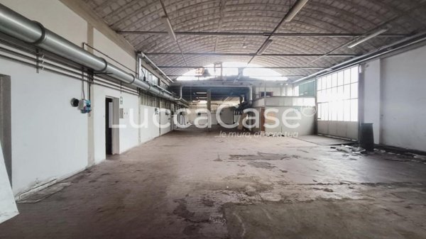 casa semindipendente in affitto a Capannori in zona Lammari