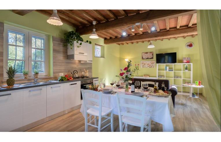 casa indipendente in affitto a Capannori