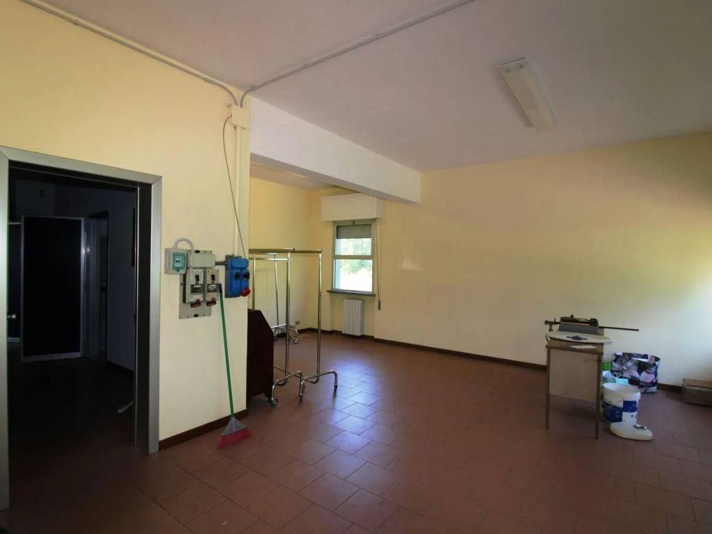 negozio in affitto a Capannori