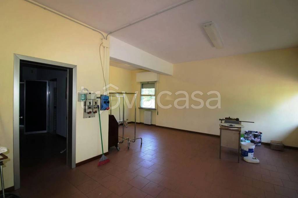 negozio in affitto a Capannori