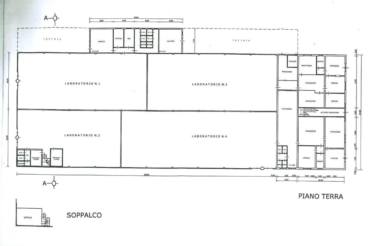negozio in affitto a Capannori