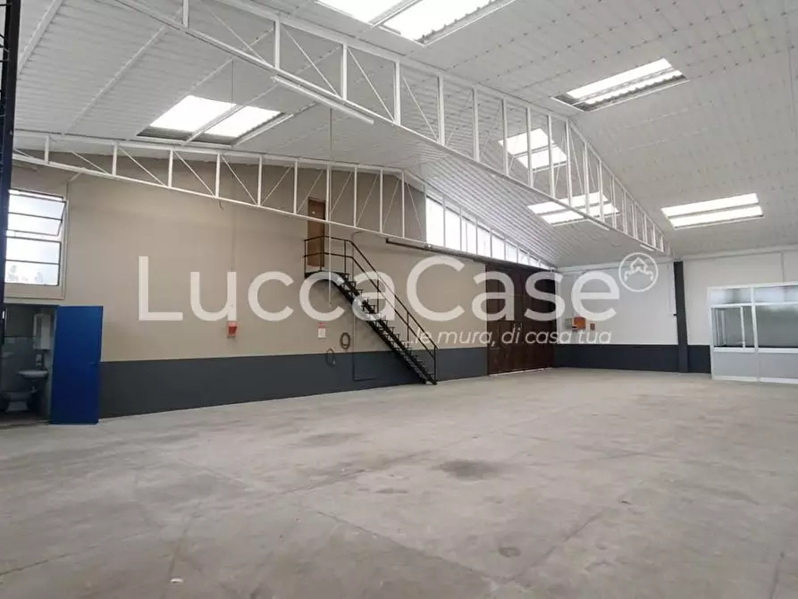 ufficio in affitto a Capannori