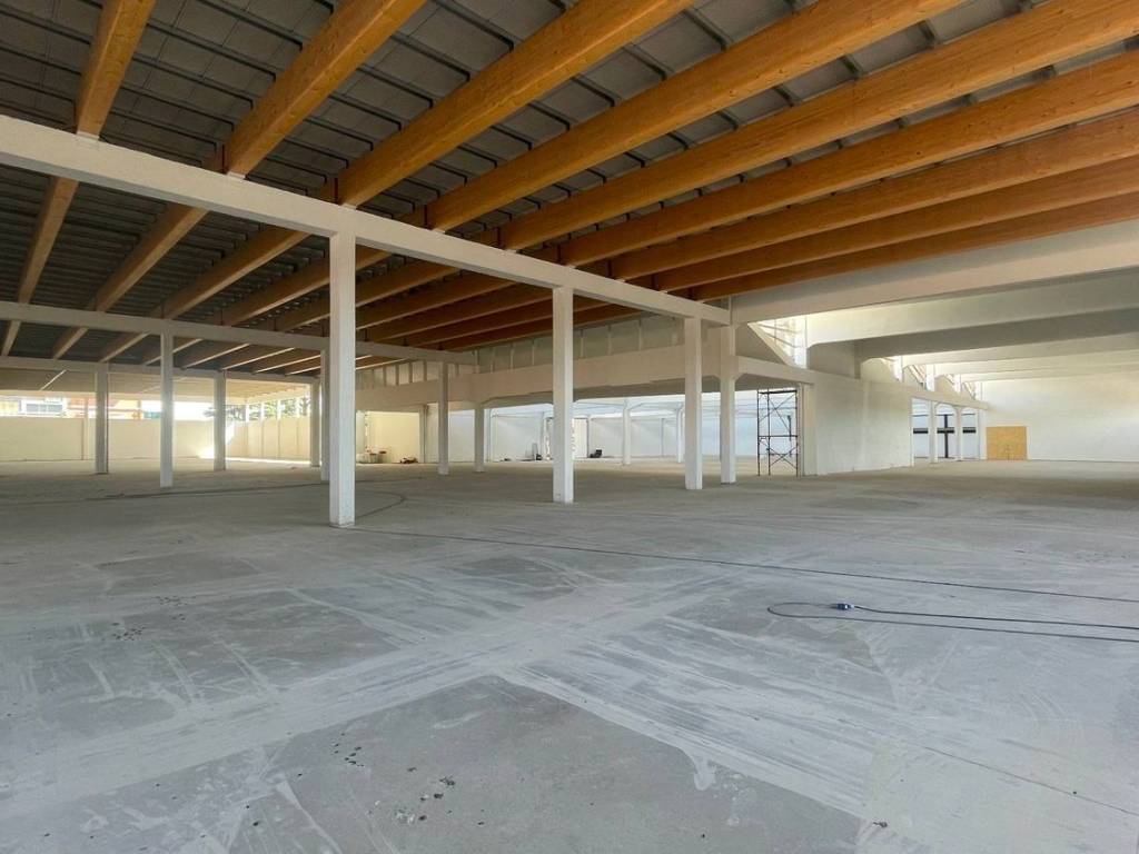 capannone in affitto a Capannori