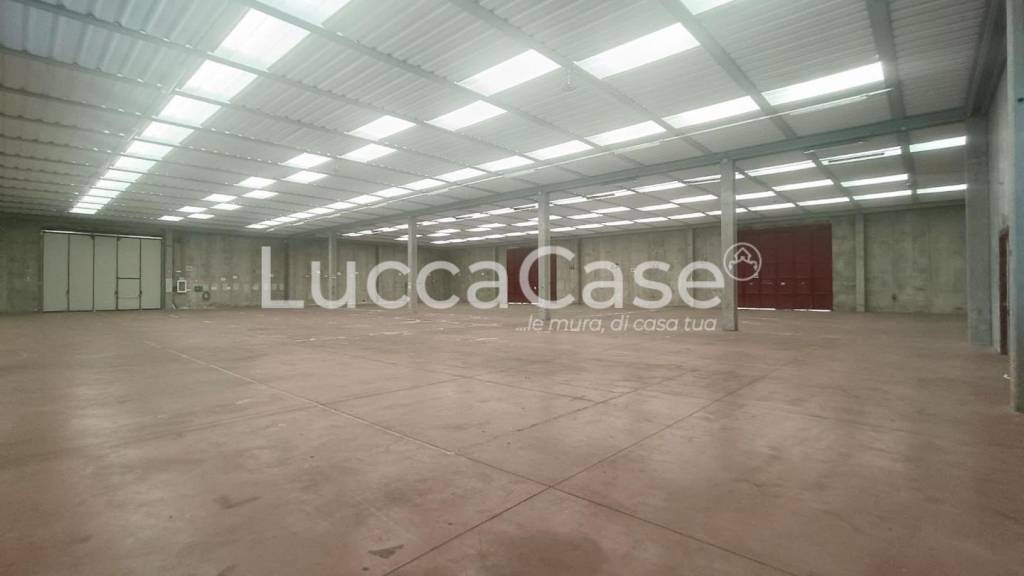 locale commerciale in affitto a Capannori in zona Guamo