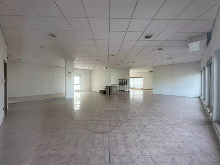 negozio in affitto a Capannori