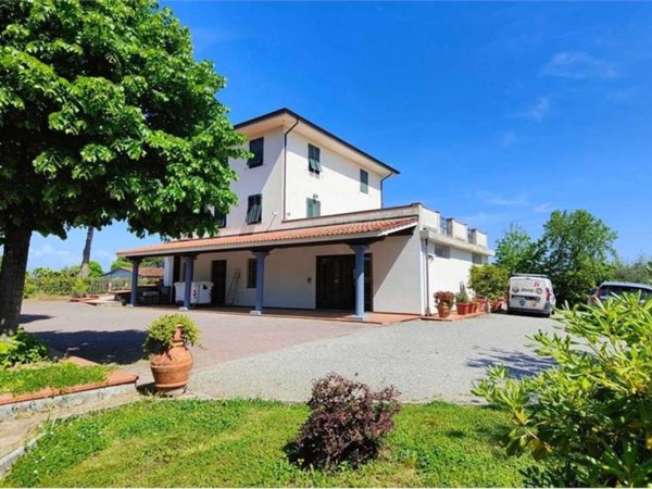 negozio in affitto a Capannori