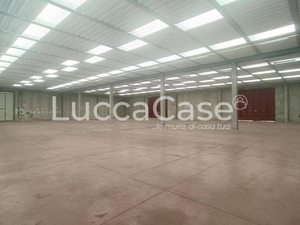 locale commerciale in affitto a Capannori in zona Guamo