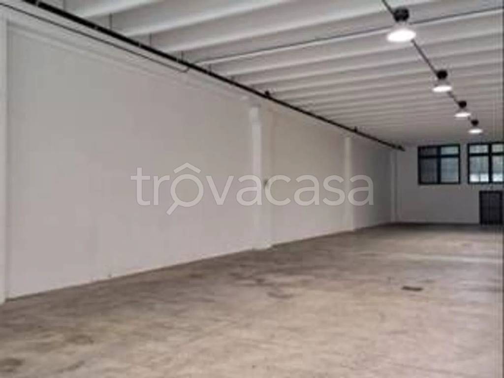 locale commerciale in affitto a Capannori