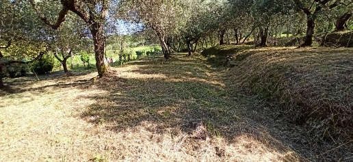 casa indipendente in affitto a Capannori in zona Lunata