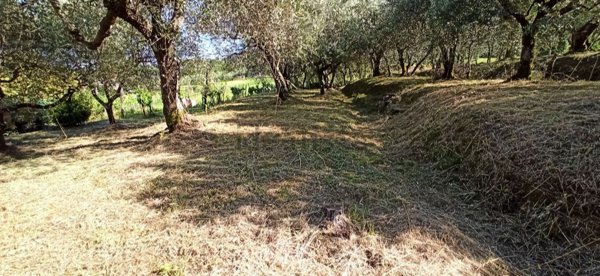 casa indipendente in affitto a Capannori in zona Castelvecchio di Compito