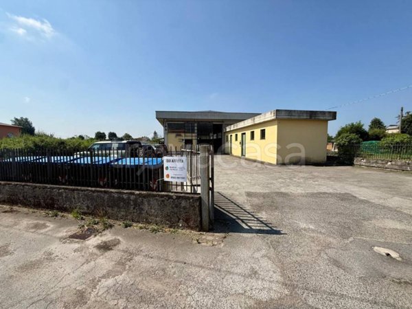 casa indipendente in affitto a Capannori