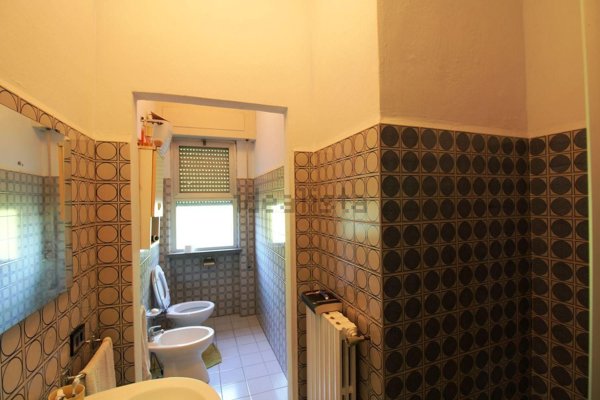 locale commerciale in affitto a Capannori